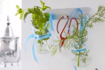 Des pots suspendus pour herbes aromatiques