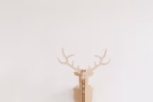 Ornement tête de renne, bois, 17,99  euros. Étoile déco, laine, 8,99 euros. Coussin rectangulaire motif mouton, 30 x 45 cm, 19,99 euros. Guirlande pompons, 14,99 euros. Tapis poils longs, blanc, fausse fourrure, 55 x 85 cm, 39,99 euros. Tapis noir et blanc chiné, 90 x 160 cm, 59,99 euros. Petit mouton, déco, 5,99 euros. Un Noël férique chez Monoprix.