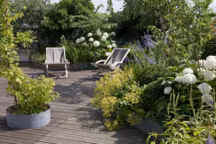 Comment faire un parterre de fleurs sans entretien ?