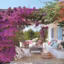 Le bougainvillier, avec sa belle floraison, apporte un ombrage coloré à la terrasse