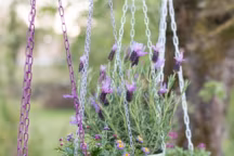 Comment faire un beau jardin pas cher ?