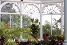 Quelles plantes installer dans la véranda