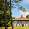 Une maison à colombages plantée en pleine forêt landaise