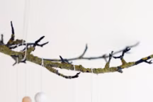 DIY : décorer son sapin de Noël avec trois fois rien