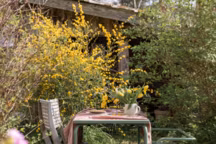 Plus d'info : table de jardin Braga, structure et plateau en tube d'acier, peinture époxy, traitement pour la résistance à la corrosion, 140 x 70 x 75 cm, épaisseur plateau 25mm, fabriquée au Portugal, 299 euros ; Banc de jardin vert Sagres, structure en tube d'acier avec peinture époxy, siège en acier avec peinture époxy, traitement pour la résistance à la corrosion, 120 x 42,5 cm, fabriqué au Portugal, 299 euros, Bergamotte.