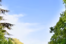 Salon Vivre Côté Sud Edition 2022 - B.Pernelle