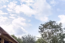 Comment faire son bassin extérieur ?