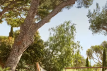 Sieste dans le jardin : les indispensables pour un moment de détente