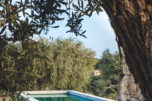 13 piscines à l'esprit méridional