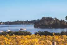 L'île aux Moines à la presqu'île de Rhuys : balade dans le golfe du Morbihan