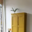 L'armoire parisienne ose une couleur originale pour un esprit décalé