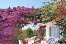 Quel arbre pour faire de l'ombre sur la terrasse ?