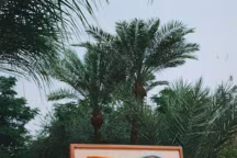 Broderie déco : 15 accessoires brodés dans l'air du temps