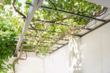 15 idées de terrasses couvertes bien aménagées