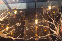 Suspension Grande Volière. Plusieurs dimensions disponibles. Grillage cuivré, et faux oiseaux en vraies plumes de différentes tailles. A partir de 216 euros. Mathieu Challieres.