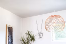 Trophées revisités : les têtes d'animaux envahissent la déco