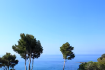 Les plus belles piscines de nos maisons de rêve !