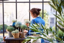 Article plantes pour jardin d'hiver - conseils de Truffaut et Slowgarden