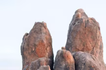 Ces vans aménagés qui nous donnent envie de prendre la route