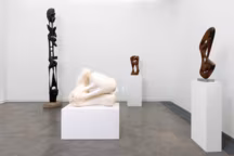 Vue d'exposition à la Galerie Mitterrand, Paris en 2018.