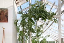 Créer une pièce en plus en transformant une serre de jardin