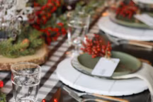 Adoptez le vert pour un Noël 2024 apaisant et élégant chez vous