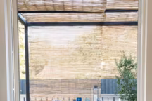 Tendance, la canisse !