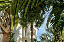 13 idées pour créer un jardin avec des palmiers