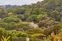 Jardiland : 21 ambiances de la nouvelle collection printemps/été 2022