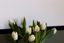 Un liseré noir accompagne un soubassement kaki pour une décoration graphique. Réalisation Inès Deschodt.