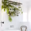 Les plantes suspendues envahissent la salle de bains
