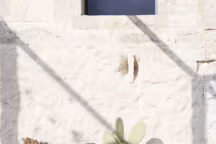 Des coussins qui ont tout pour plaire !