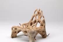 Studio Klarenbeek & Dros, Mycelium chair, 2018 – 2019. Bio-impression 3D (mycelium de ganoderma, filament de bois), chanvre, bioplastique, 75 x 76 x 72 cm. Paris, Centre Pompidou, Musée national d'art moderne.