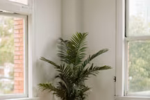 Aménager un coin méditation chez soi