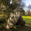 " Je ne veux pas que ce jardin devienne n'importe quoi », s'impliquait Jeannette Leroy en soignant l'écrin végétal de la collection d'art, dont la sculpture 451 de Jaume Plensa (1988).