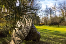 " Je ne veux pas que ce jardin devienne n'importe quoi », s'impliquait Jeannette Leroy en soignant l'écrin végétal de la collection d'art, dont la sculpture 451 de Jaume Plensa (1988).