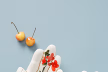 Tendance : la décoration à visage découvert