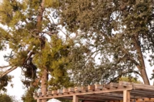 Comment aménager une pergola en bois ?