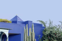 Parmi les cactées, l'atelier de Jacques Majorelle abrite le Musée berbère.