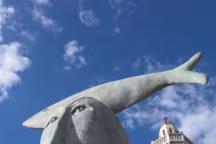 Où se promener à Sète ? Balade et découvertes signées Côté Sud