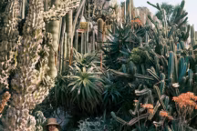 " Florette et Stéphanie, Jardin exotique, Monaco, 13 avril 1964 »