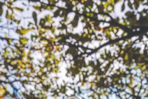 10 parfums pour un tour du monde des senteurs