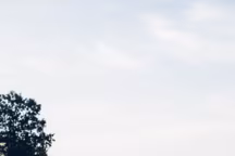 Un été à sillonner la campagne