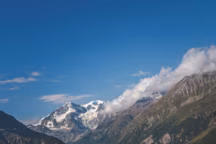 Des champs de Rhodiola rosea, plante millénaire pouvant pousser jusqu'à 4000 mètres d'altitude, dans le val d'Hérens en Valais.