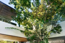 Une terrasse sur plusieurs niveaux bien pensée