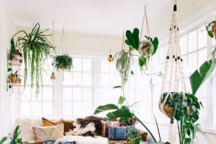 Un plafond stylé en 15 inspirations