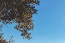 Hyères et les îles d'Or : l'archipel nature vu par Côté Sud