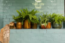 Dans salle salle de bains, les revêtement comme le carrelage sont faciles à nettoyer, même en présence de végétaux.