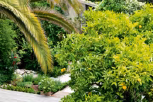 Fraîcheur de vue dans cette bâtisse niçoise