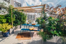 Aménager sa terrasse avec des plantes